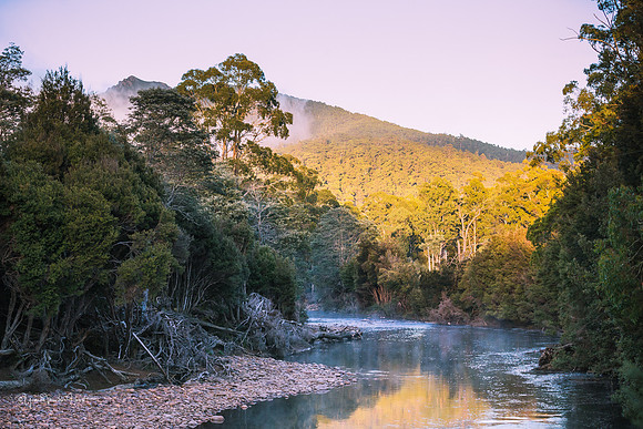 Levin River in the  Loongana valley ,  North West Tasmania.