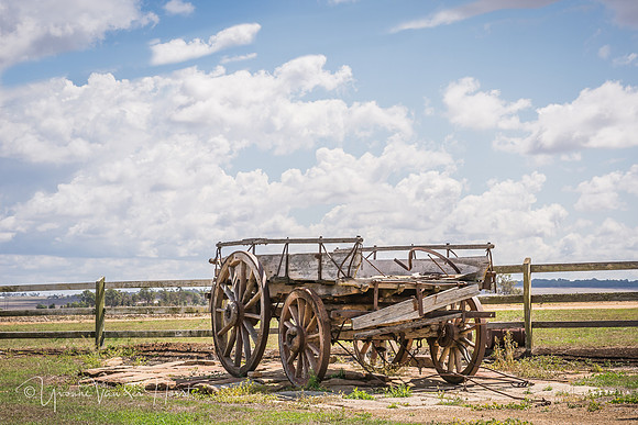 An Old Dray